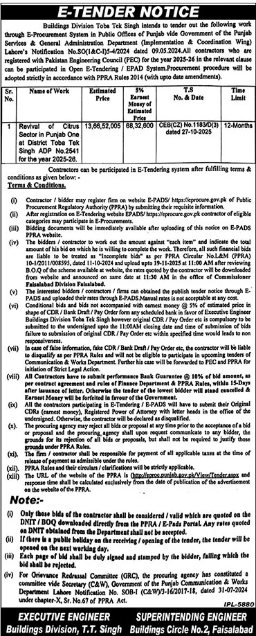 Building Division Toba Tek Singh Tender Notice